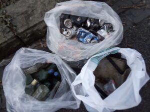 sorted litter (Stirling back walk)