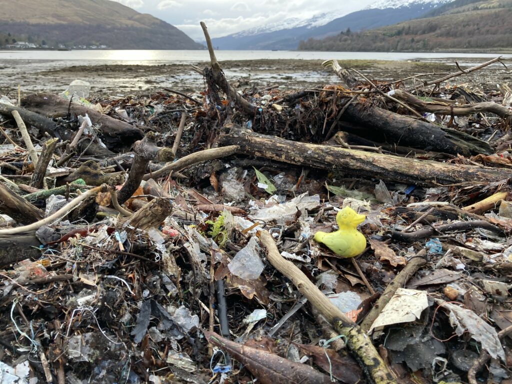 a pile of rubbish mixed with plant matter, washed up on a shore