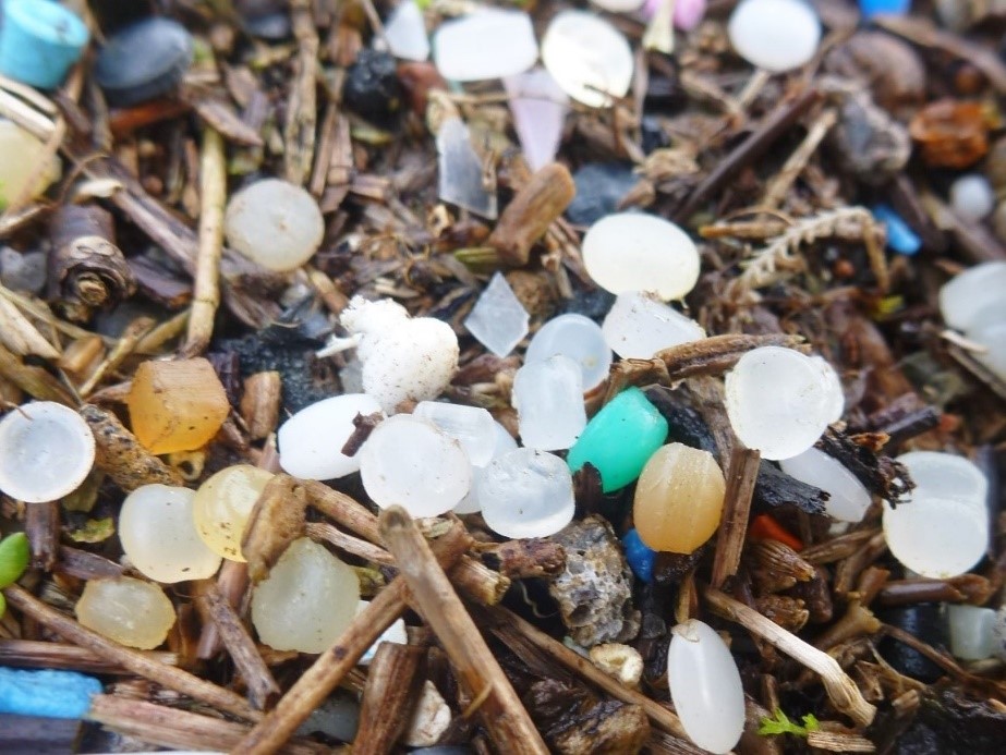 Colourful plastic nurdles litter a beach