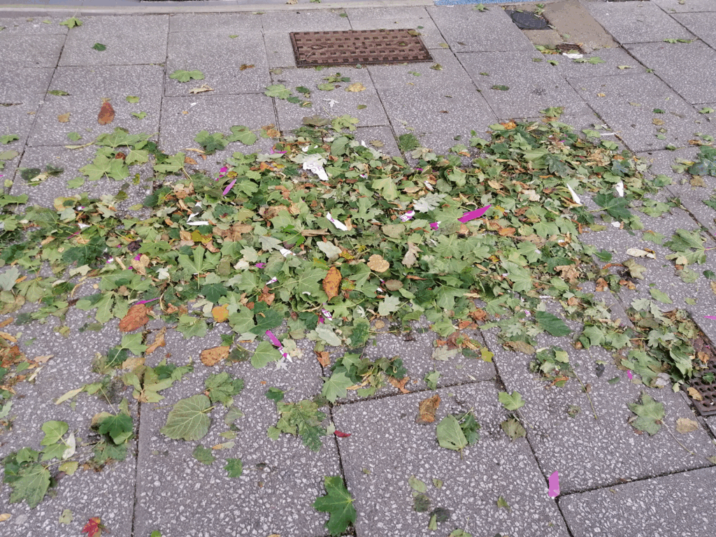 A pile of leaves on a pavement, with high-contrast purple and white scraps of plastic mixed in. Drain and manhole covers are visible.